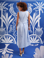 Serpentine Sky Embroidered Dress