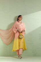 NAAZ ANARKALI SET